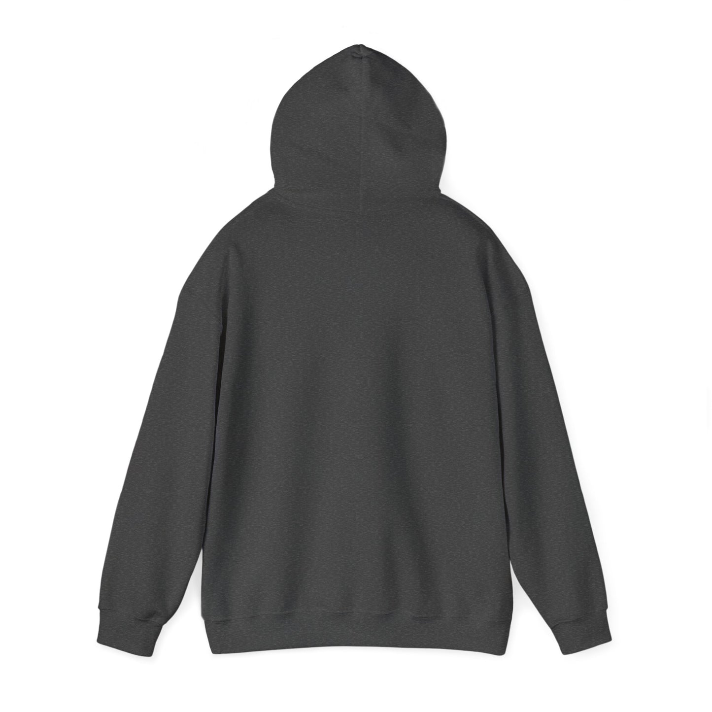9PP Racing Hoodie - 1995 Grand Prix Graphic Hoodie